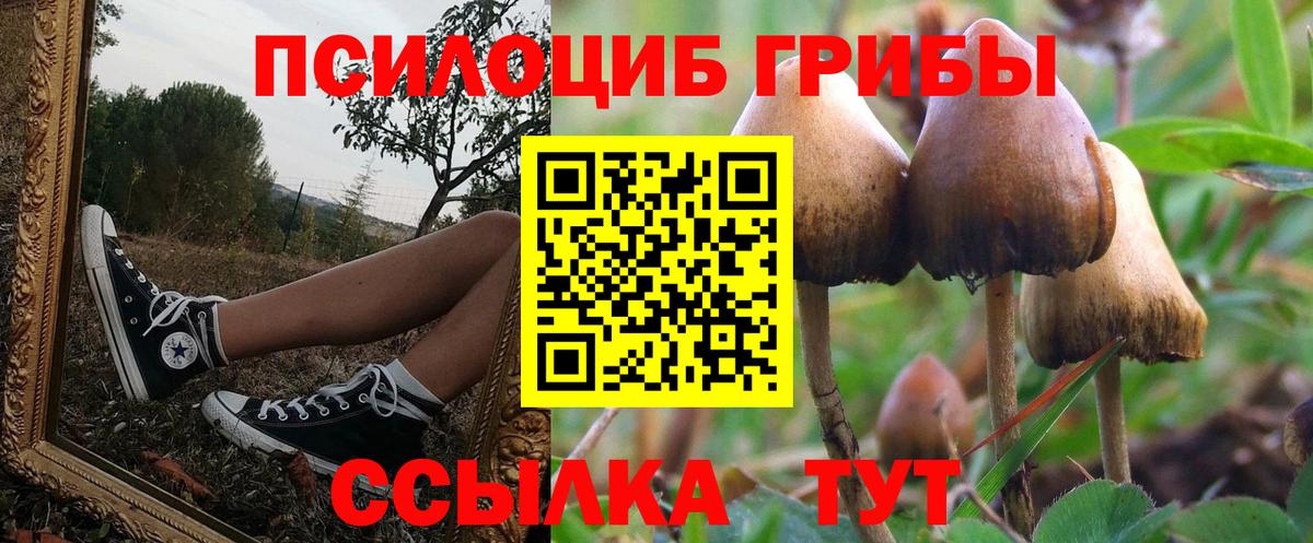 Галлюциногенные грибы GOLDEN TEACHER Печора