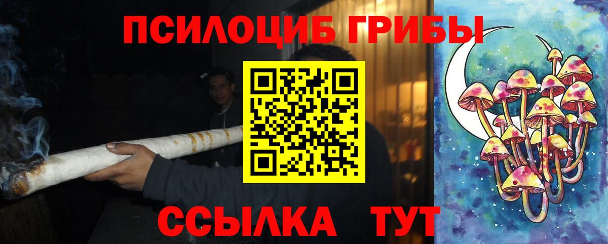 Псилоцибиновые грибы мицелий  Вход с VPN  Печора 