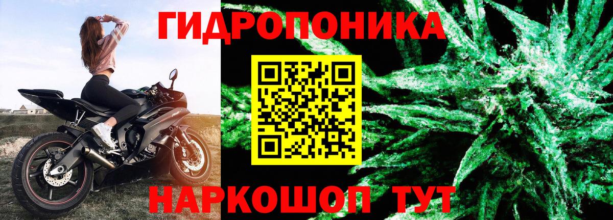 Марихуана Amnesia Печора